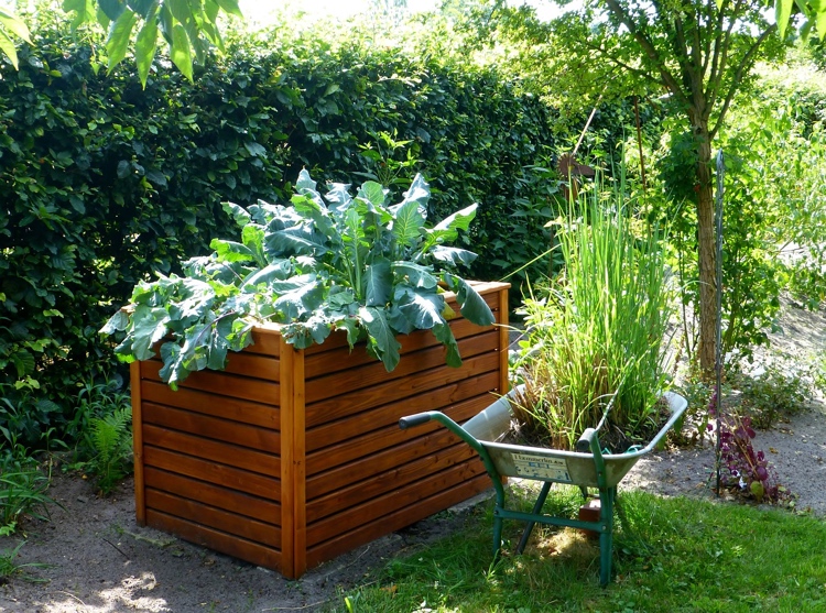 Garten Gestaltung Tipps und Ideen für Hobby Gärtner