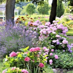 Garten Grundausstattung Tipps für Blumenbeet