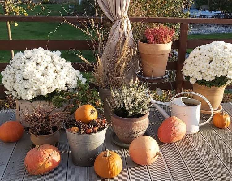 Herbst Dekoration mit Blumen und Kürbissen auf der Terrasse