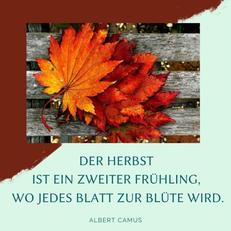 Herbst Sprüche - Der Herbst ist ein zweiter Frühling von Albert Camus