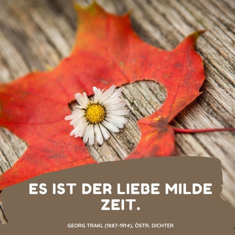 Herbst Sprüche - Es ist der Liebe milder Zeit von Georg Trakl