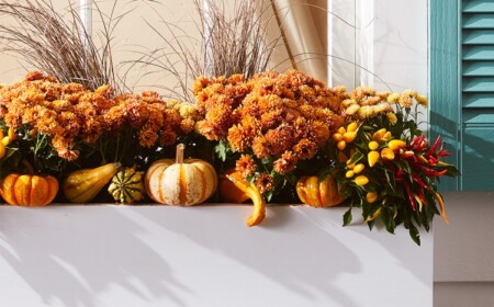 Herbstblumen für Balkon ideen für Herbstbepflanzung von Blumenkästen mit Kürbissen und Chrysanthemen und Paprika