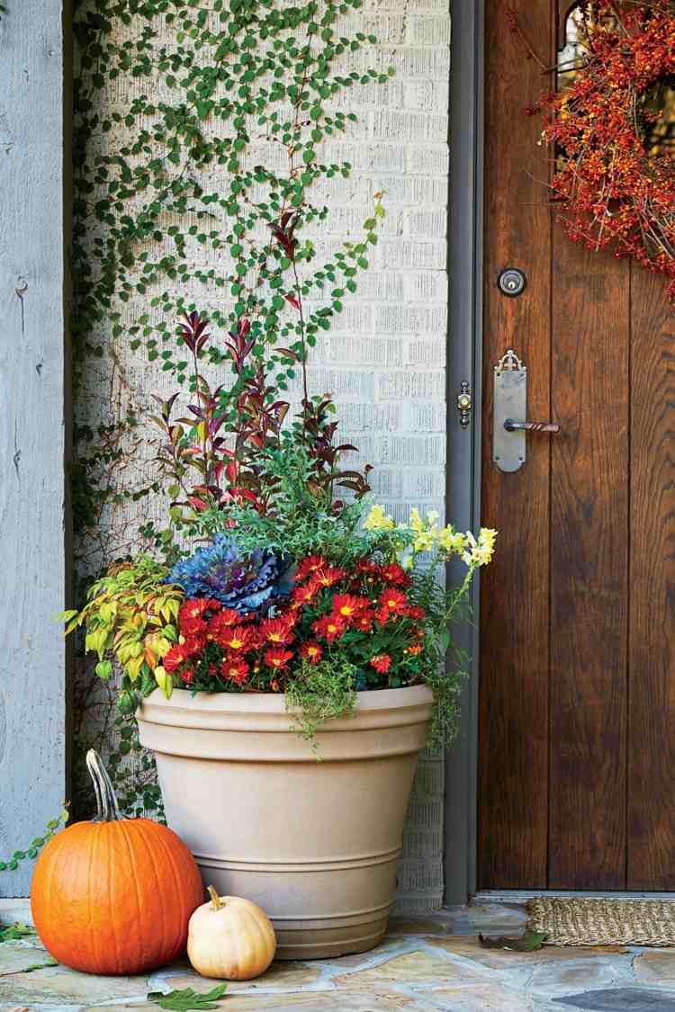 Herbstblumen für Balkon im Kübel bepflanzen