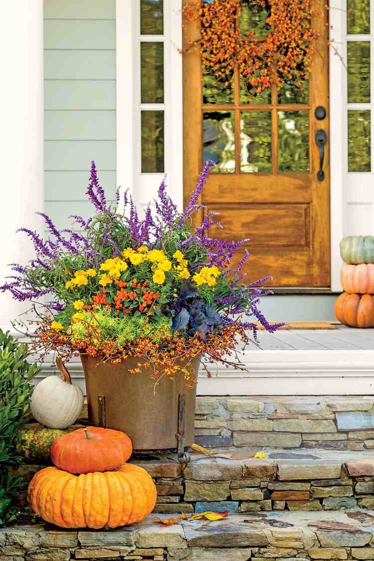 Herbstblumen für Balkon und Terrasse in Kübeln bepflanzen
