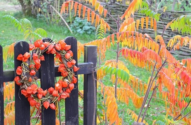 Decorate autumn wreath with physalis willow wreath with lantern flowers