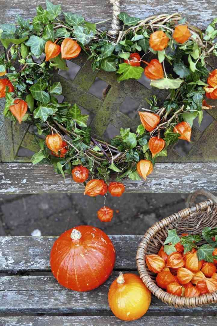 Make your own autumn wreath with physalis and ivy