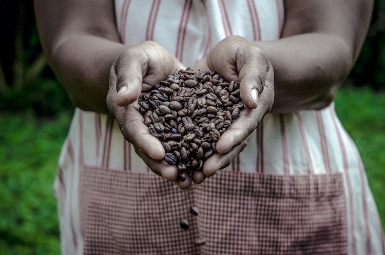 Support smallholders of coffee