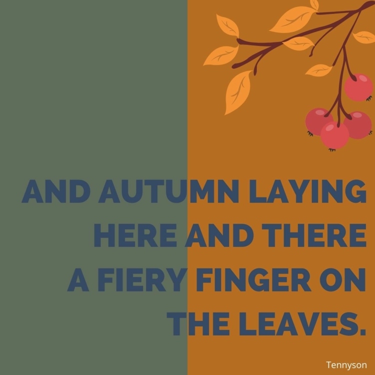 Kreative Herbst Sprüche zum Versenden an Freunde und Familie