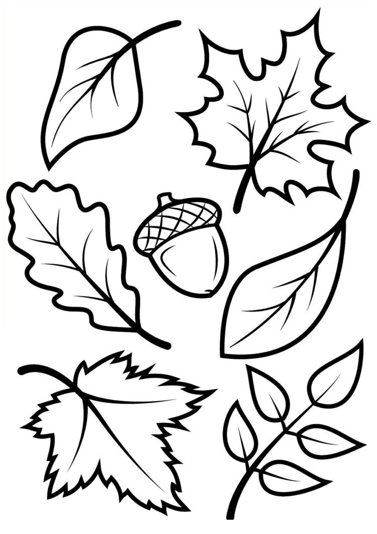 Schöne Herbstmotive zum Ausdrucken und Füllen mit Knete - Blätter und Eichel