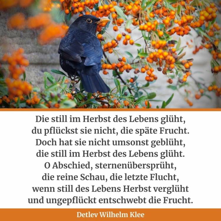 Schönes Gedicht über die goldene Jahreszeit - Herbstliche Verse von Detlev Klee