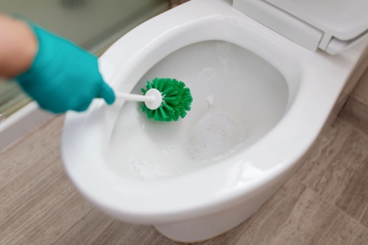 backpulver zum reinigen der toilette verwenden und mit klobürste porzellan sauber machen