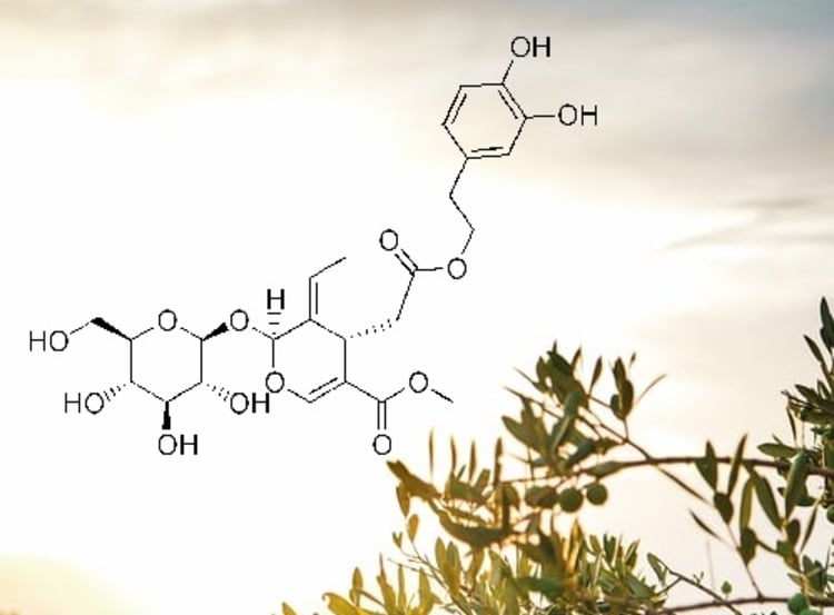 chemische formel von oleuropein C25H32O13 als olivenblattextrakt wirkung in nahrungsergänzungsmitteln