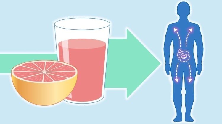 cytochrom P450 nach einnahme von grapefruitsaft einfluss auf metabolisierung der toxine