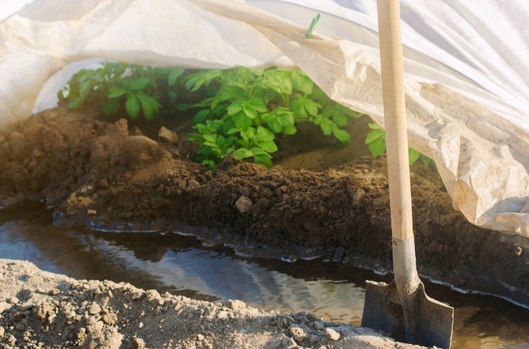 gartenbeete vorbereiten bewässerung durch graben und abdeckung im winter sichern