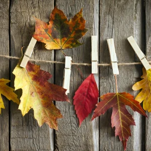 Herbstgirlande basteln aus bunten Laubblättern, Wäscheklammern und Paketschnur
