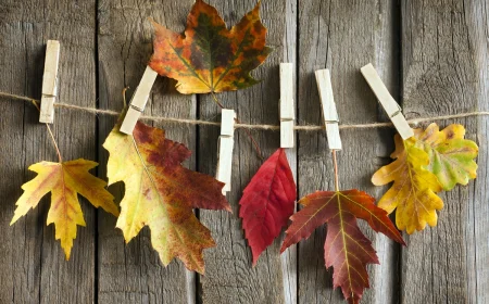 Herbstgirlande basteln aus bunten Laubblättern, Wäscheklammern und Paketschnur