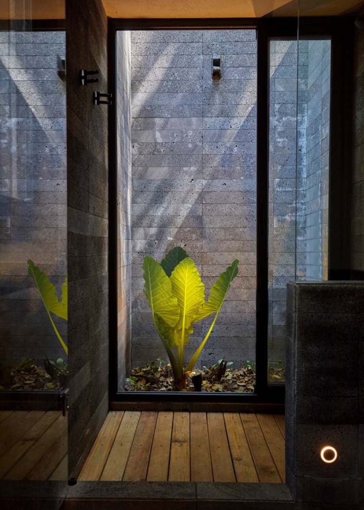 kleines badezimmer mit glas tür und terrasse mit pflanze ausgestattet