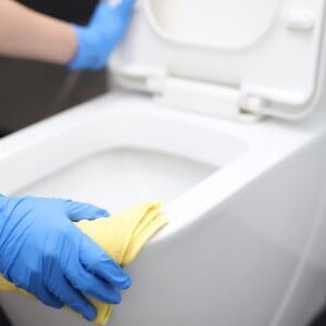 toilette richtig reinigen und bakterien wie viren und keime vermeiden