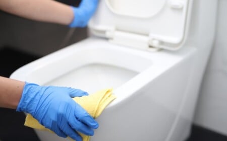 toilette richtig reinigen und bakterien wie viren und keime vermeiden