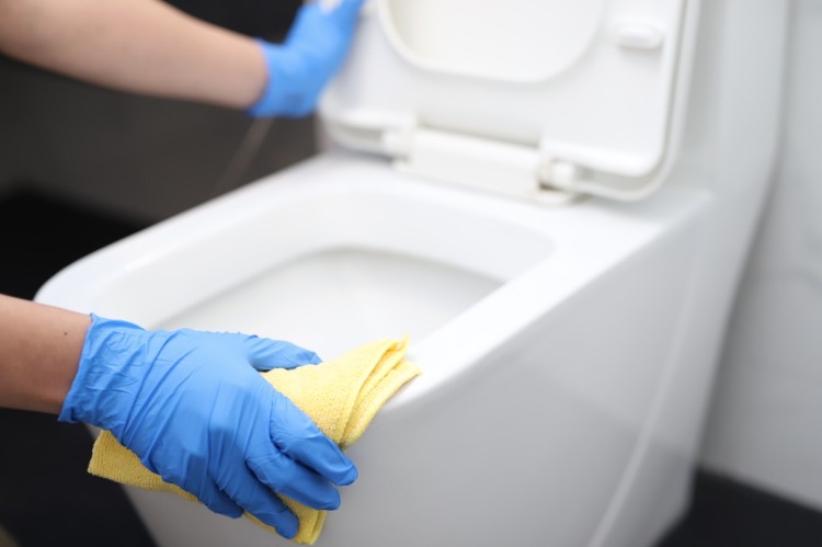 toilette richtig reinigen und bakterien wie viren und keime vermeiden