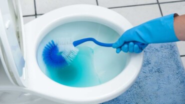 toilettenbürste mit desinfektionsmittel oder toilettenreinigen gegen ausbreitung von bakterien benutzen