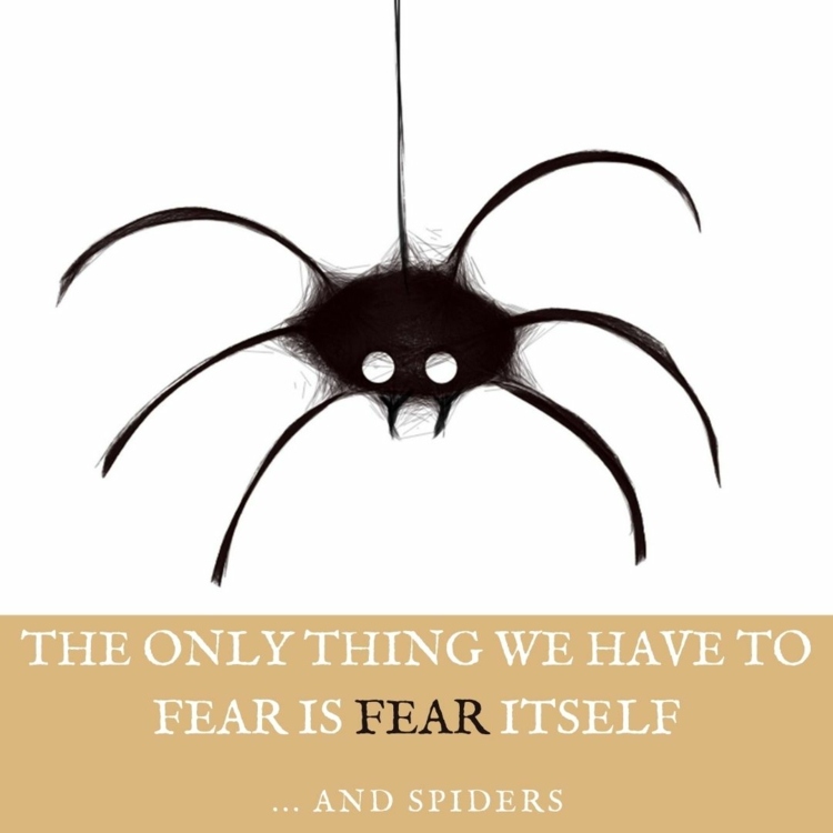 Das einzige, wovor du Angst haben muss, ist die Angst selbst - und Spinnen