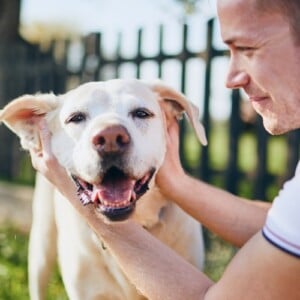 Kokosöl für Hunde Ohren Fellpflege Hund Hausmittel