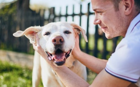 Kokosöl für Hunde Ohren Fellpflege Hund Hausmittel