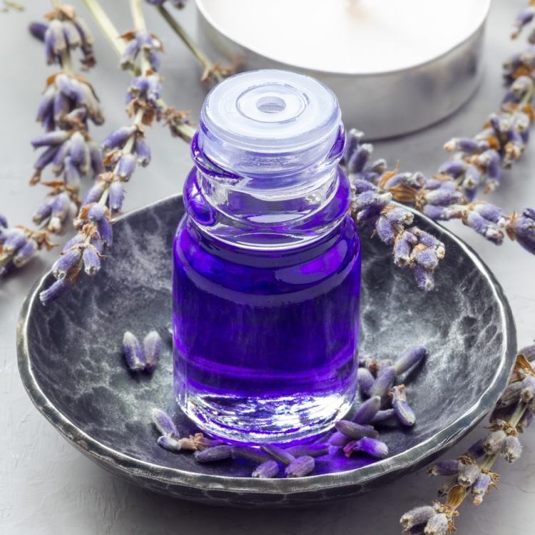 Lavendelöl kann Angstzustände reduzieren