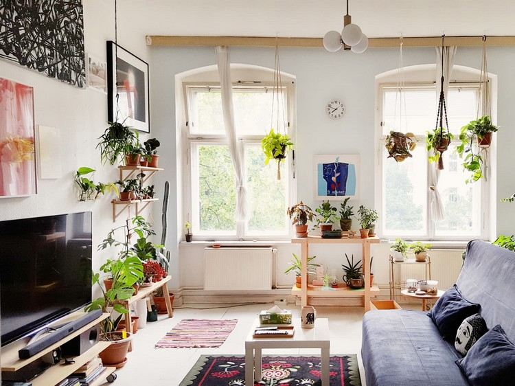 Wohnzimmer mit Pflanzen Luftfeuchte regulieren