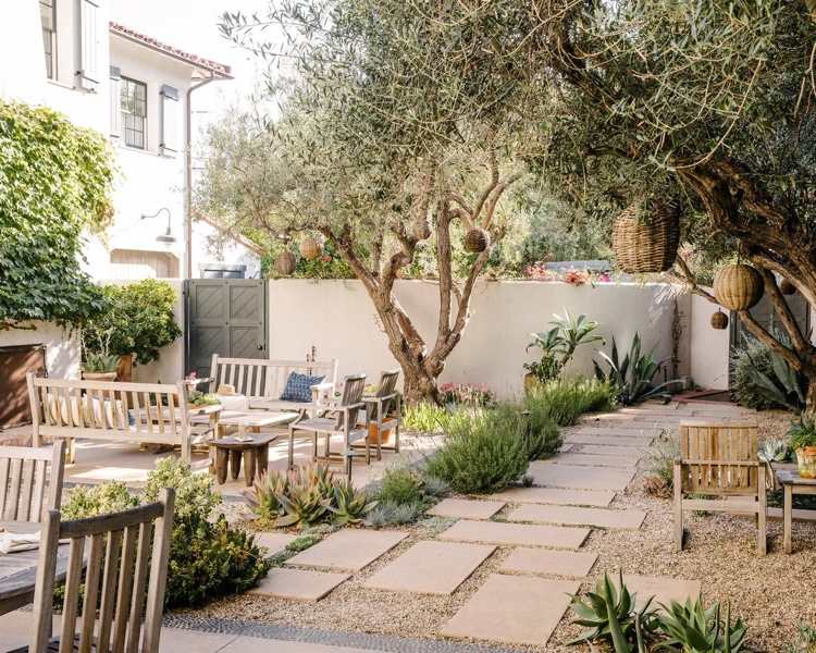 Olivenbaum im Garten einpflanzen und überwintern ohne Schneiden