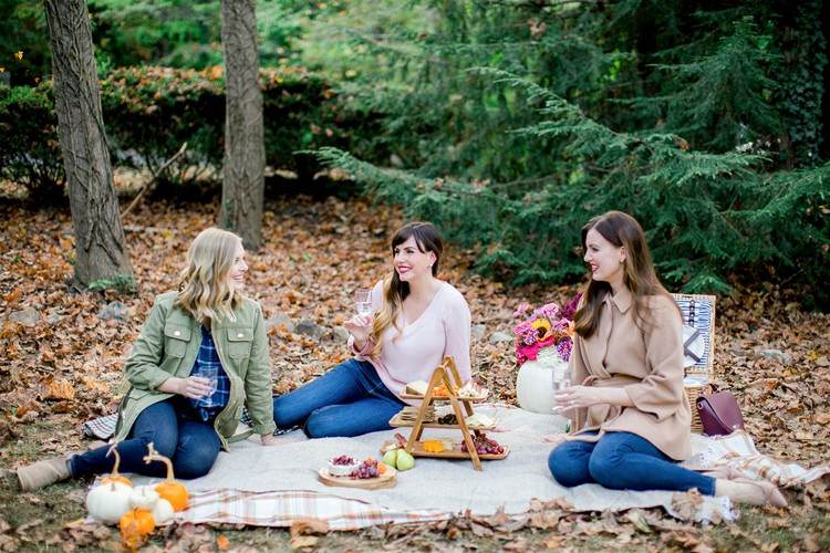 Picknick Geburtstagsparty mit Freunden feiern