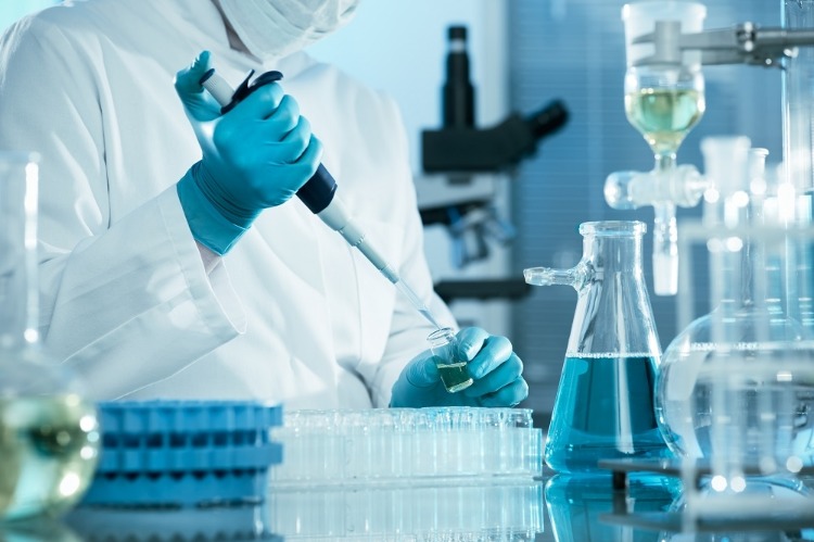 forscher untersucht proben und gesunde darmbakterien im labor
