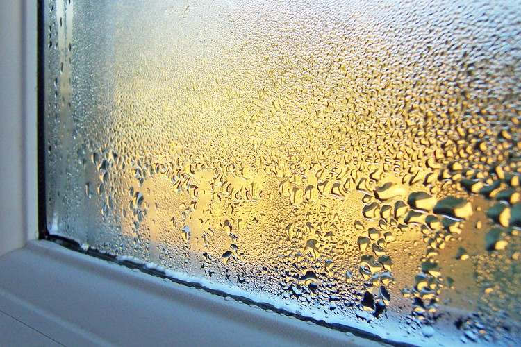 hohe Luftfeuchtigkeit senken Tipps bei Kondenswasser