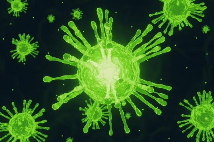 in grün leuchtende coronaviren sars cov 2 dargestellt