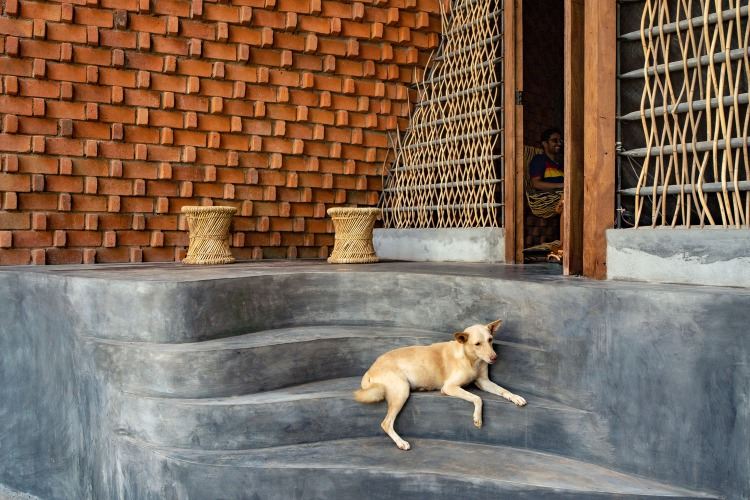 kleiner hund liegt auf treppen aus ferro zement vor einem haus mit geflechtetem bambus als sichtschutz