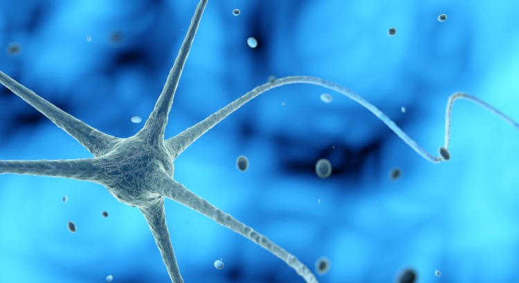 nervenzelle im gehirn in 3d darstellung mit anderen neuronen
