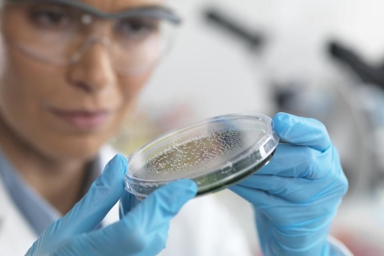 wissenschaftlerin hält reagenzglas mit bakterien im darm als schutz bei strahlentherapie