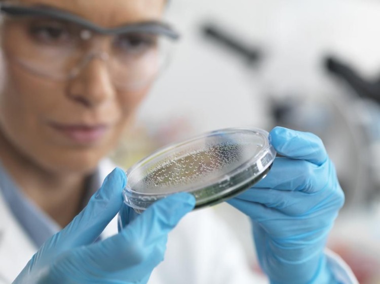 wissenschaftlerin hält reagenzglas mit bakterien im darm als schutz bei strahlentherapie