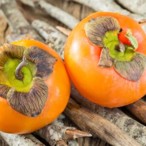 zwei stück kaki frucht baum in orangenen farbtönen