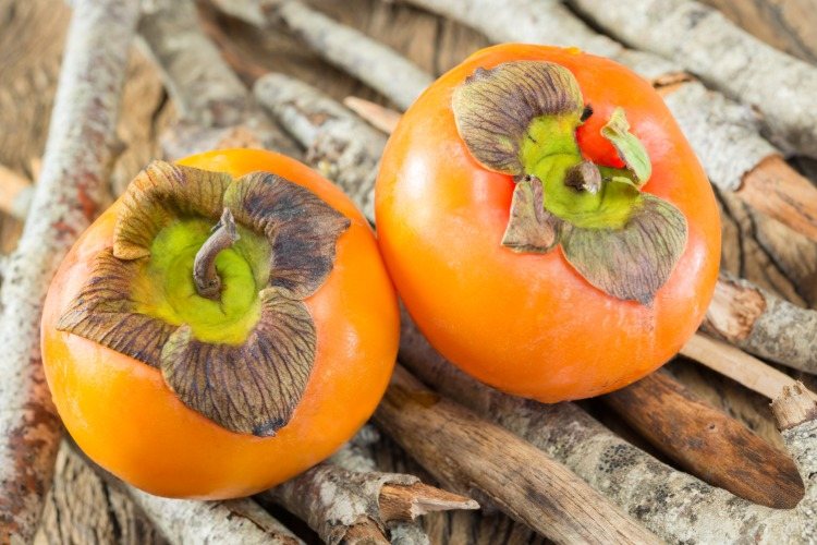 zwei stück kaki frucht baum in orangenen farbtönen
