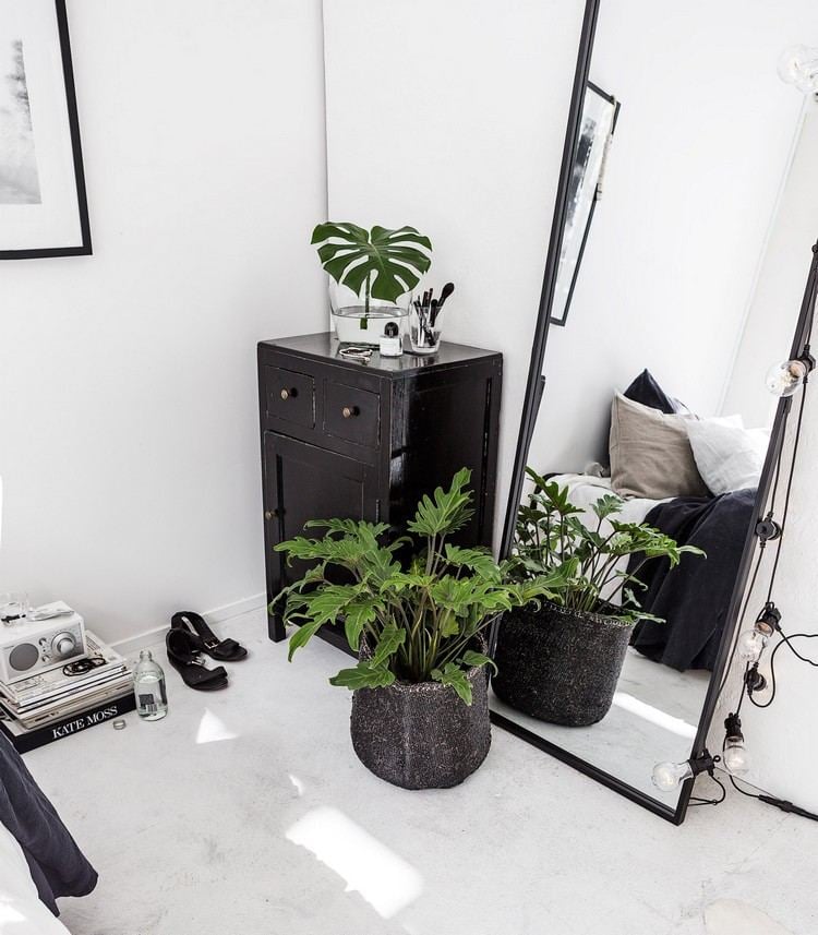 Ideen für leere Ecken mit Spiegel und Lichterkette und Pflanzen für wenig Licht