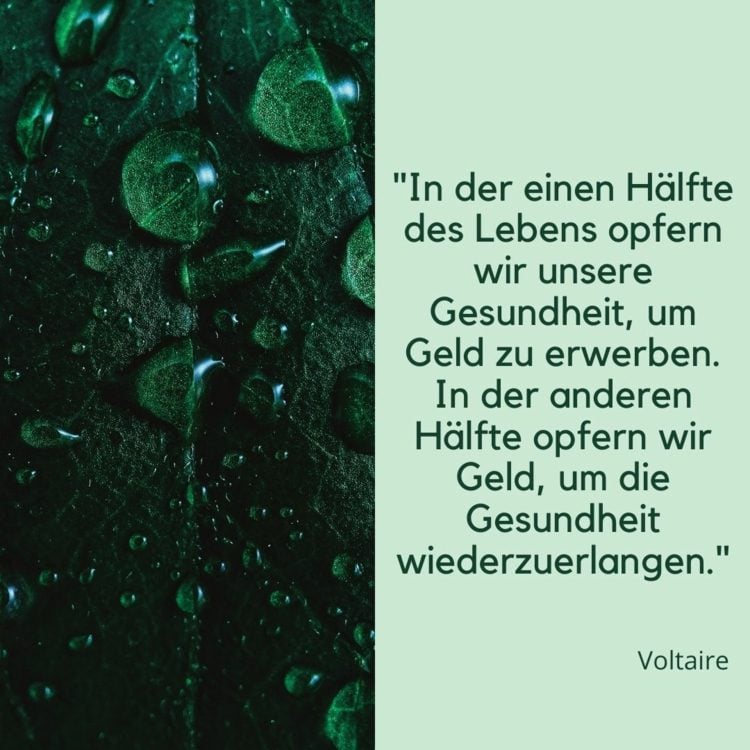 Krank-sein-Sprüche und Zitate von Voltaire - Wir opfern Geld für die Gesundheit