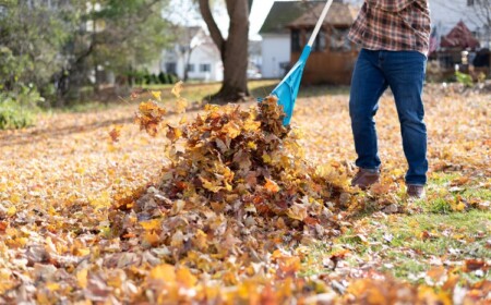 Laub harken kcal Verbrauch Gartenarbeit