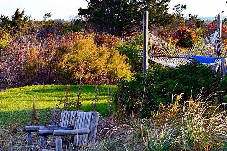Naturnaher Garten im Herbst mit Hängematte und zwei Stühlen
