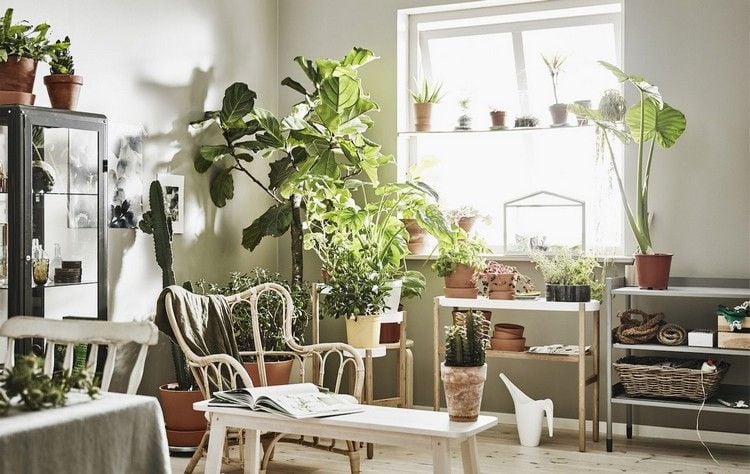 Raumecke mit Pflanzen gestalten Ideen fuer Zimmerpflanzen im Wohnzimmer