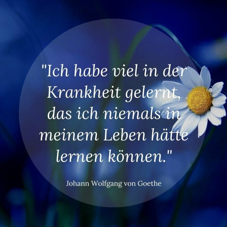 Zitat von Goethe - Ich habe viel in der Krankheit gelernt