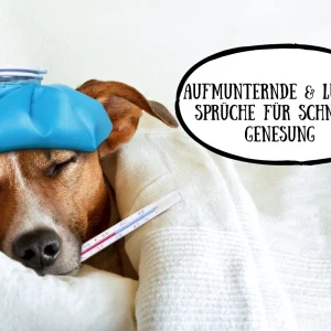 aufmunternde und lustige sprüche für schnelle genesung