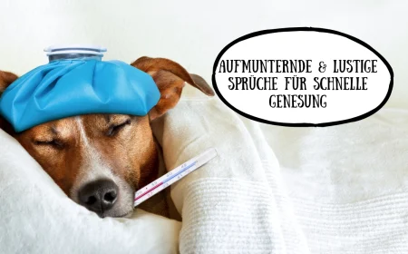 aufmunternde und lustige sprüche für schnelle genesung