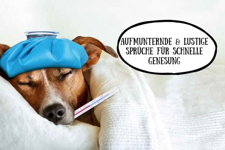 aufmunternde und lustige sprüche für schnelle genesung